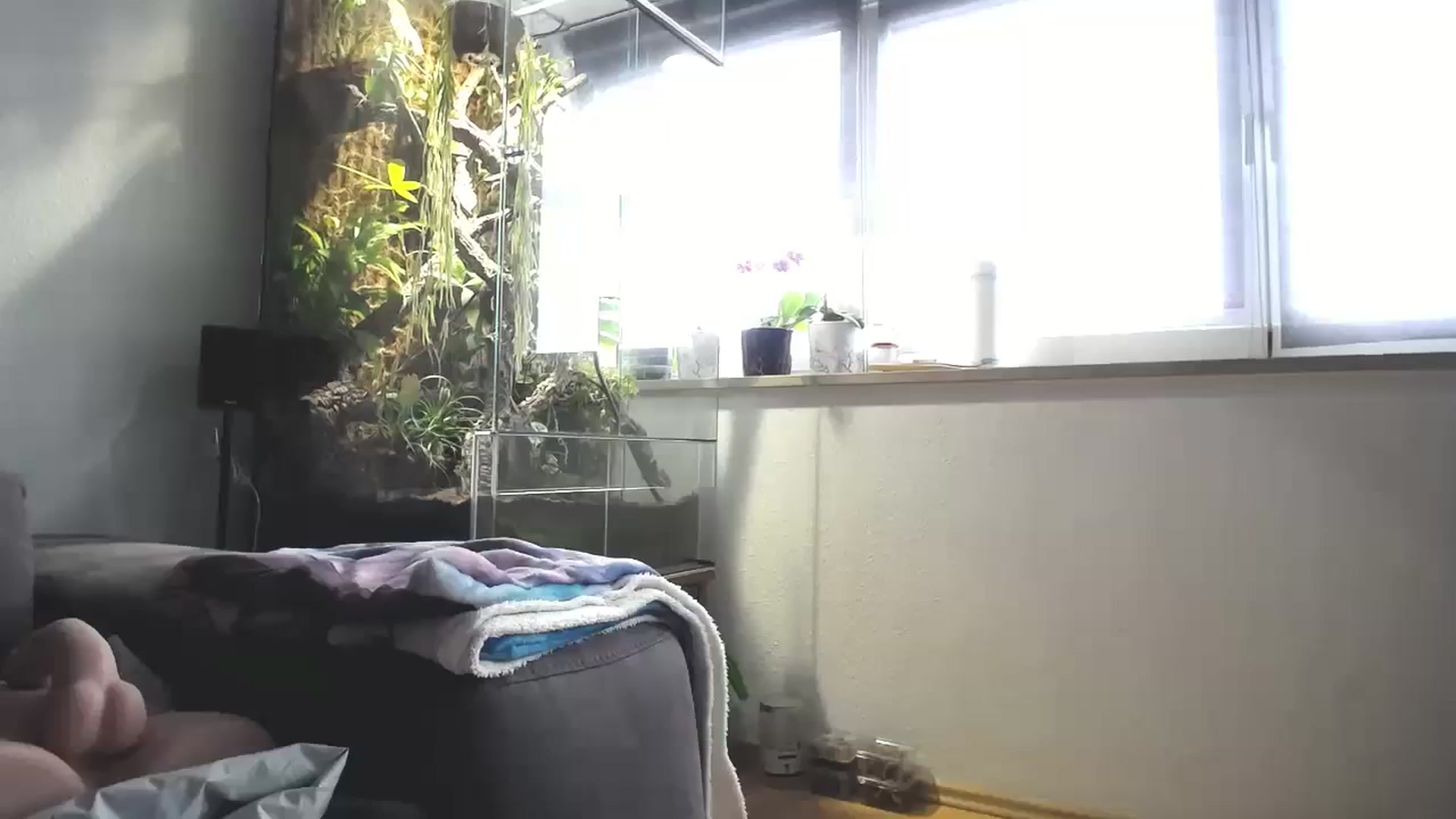 Gallery image thumbnail from MiaMaxxx's myfreecams stream on, 02/25/2024, 11:55 image 10 of 20
