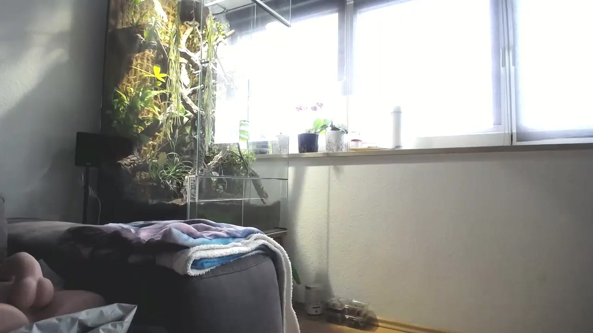 Gallery image thumbnail from MiaMaxxx's myfreecams stream on, 02/25/2024, 11:55 image 8 of 20