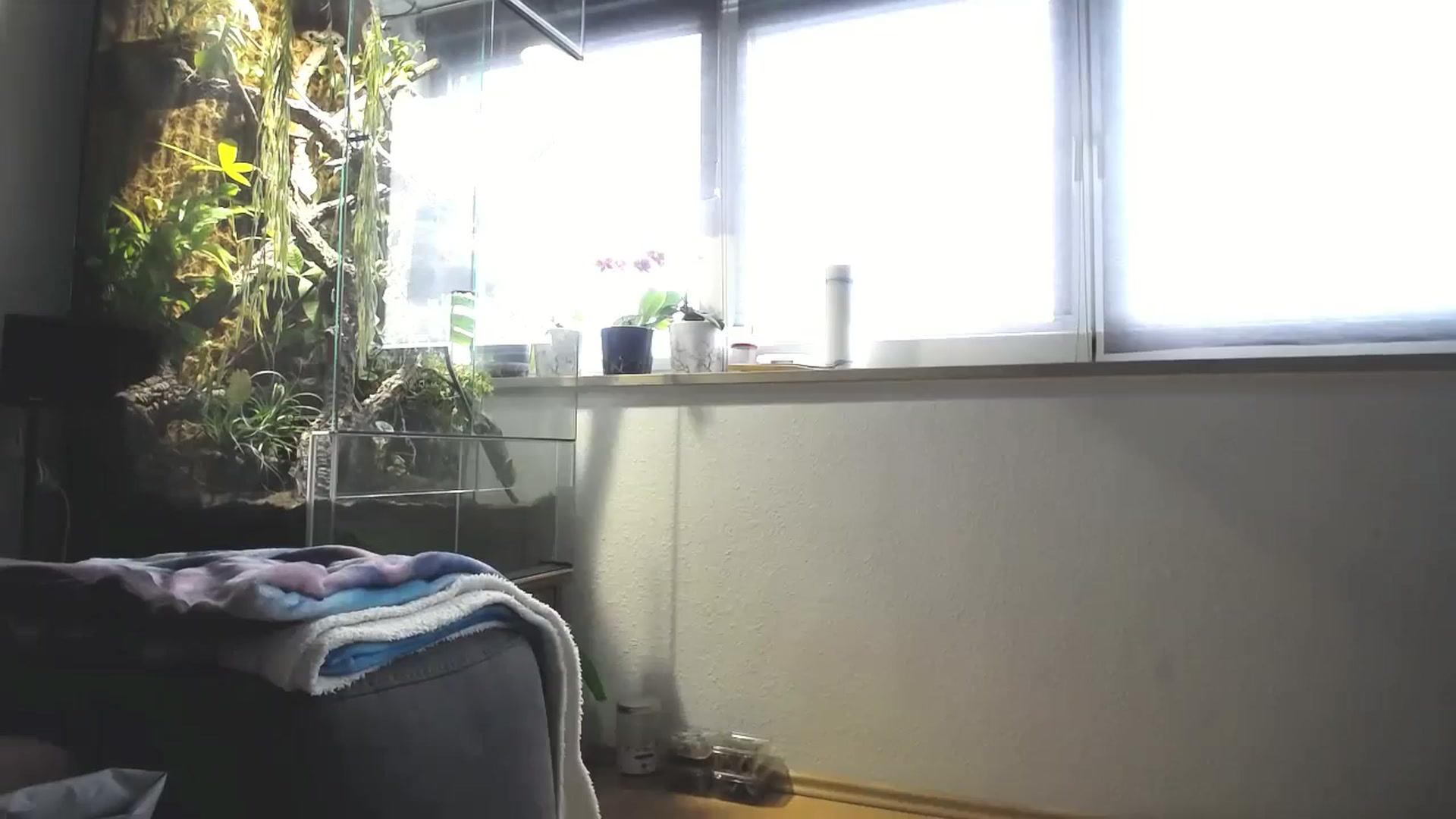 Gallery image thumbnail from MiaMaxxx's myfreecams stream on, 02/25/2024, 11:55 image 3 of 20