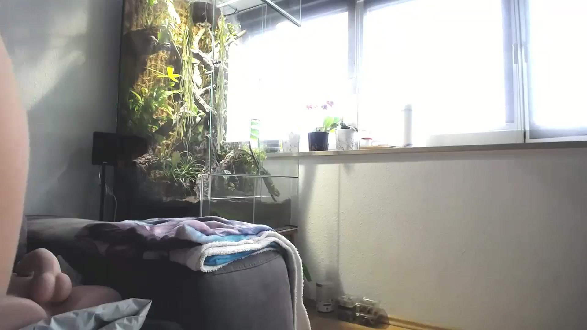 Gallery image thumbnail from MiaMaxxx's myfreecams stream on, 02/25/2024, 11:55 image 11 of 20