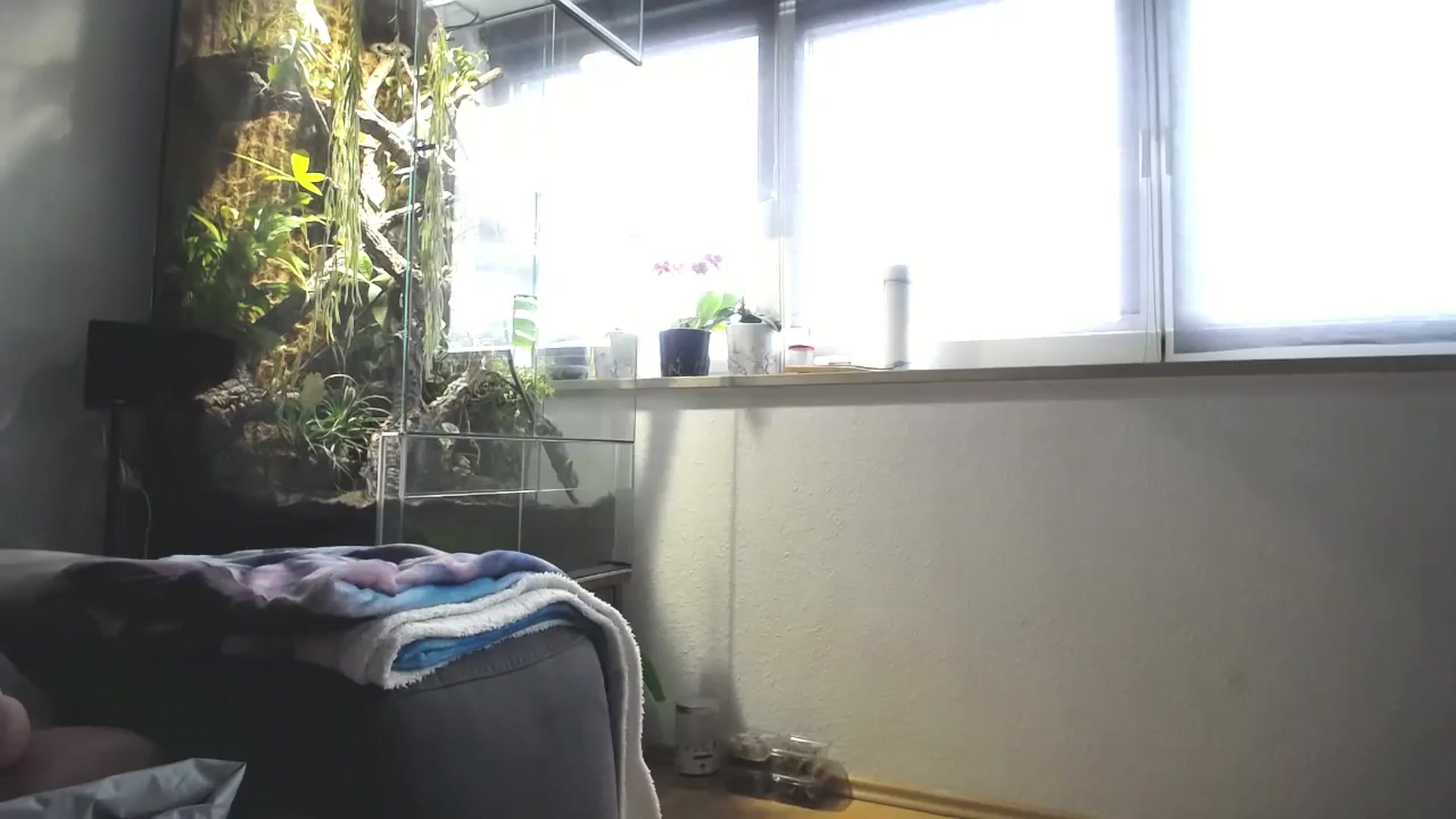Gallery image thumbnail from MiaMaxxx's myfreecams stream on, 02/25/2024, 11:55 image 5 of 20