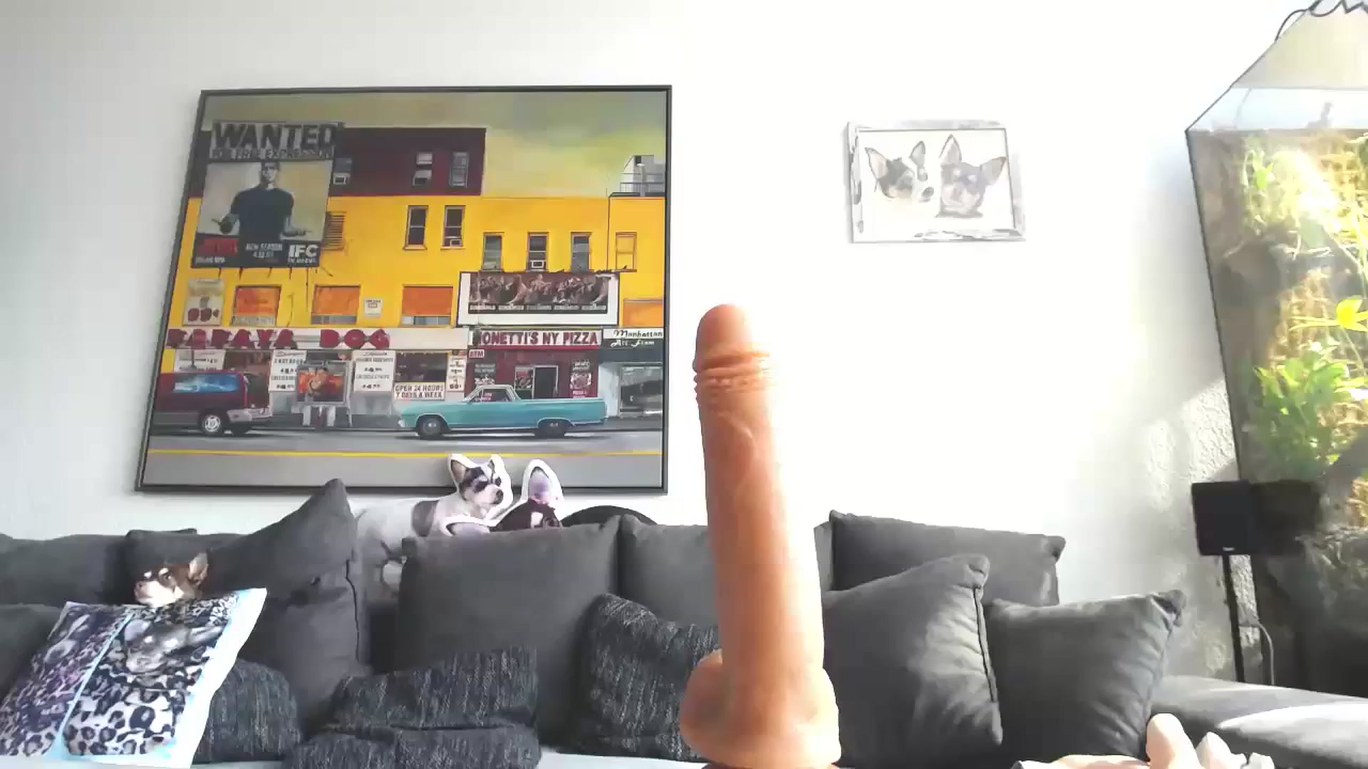 Gallery image thumbnail from MiaMaxxx's myfreecams stream on, 03/06/2024, 10:22 image 14 of 20