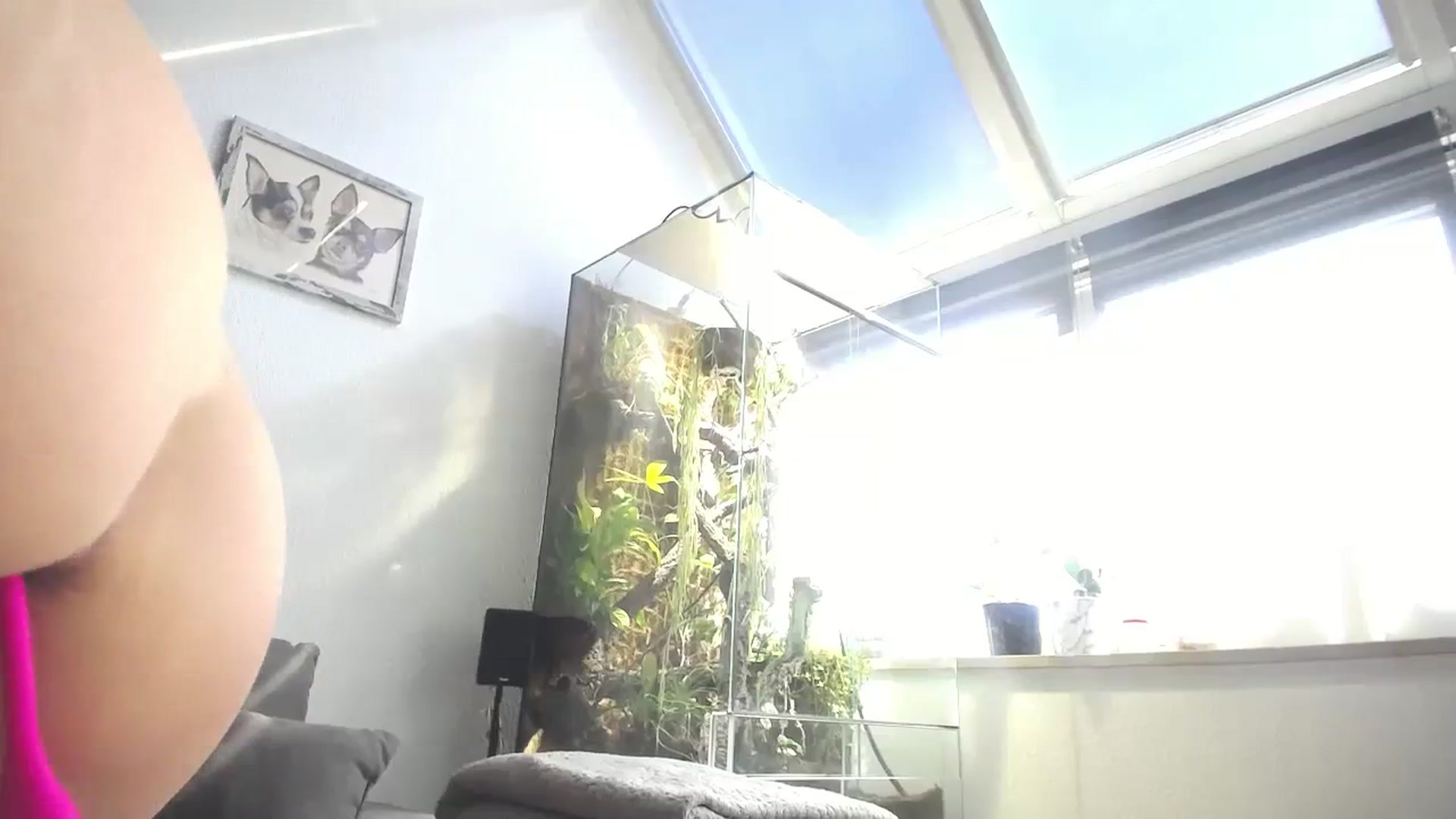 Gallery image thumbnail from MiaMaxxx's myfreecams stream on, 03/13/2024, 12:41 image 6 of 20
