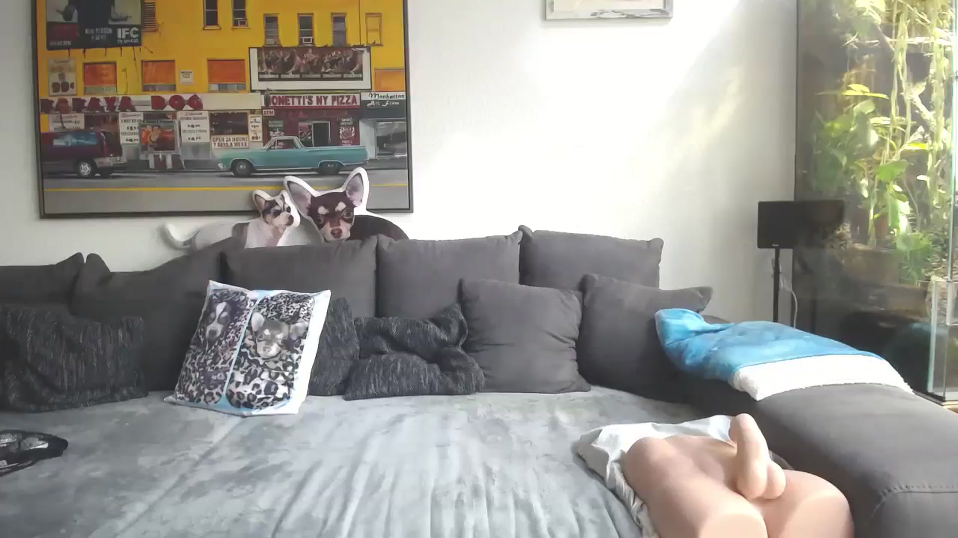 Gallery image thumbnail from MiaMaxxx's myfreecams stream on, 04/08/2024, 11:54 image 17 of 20