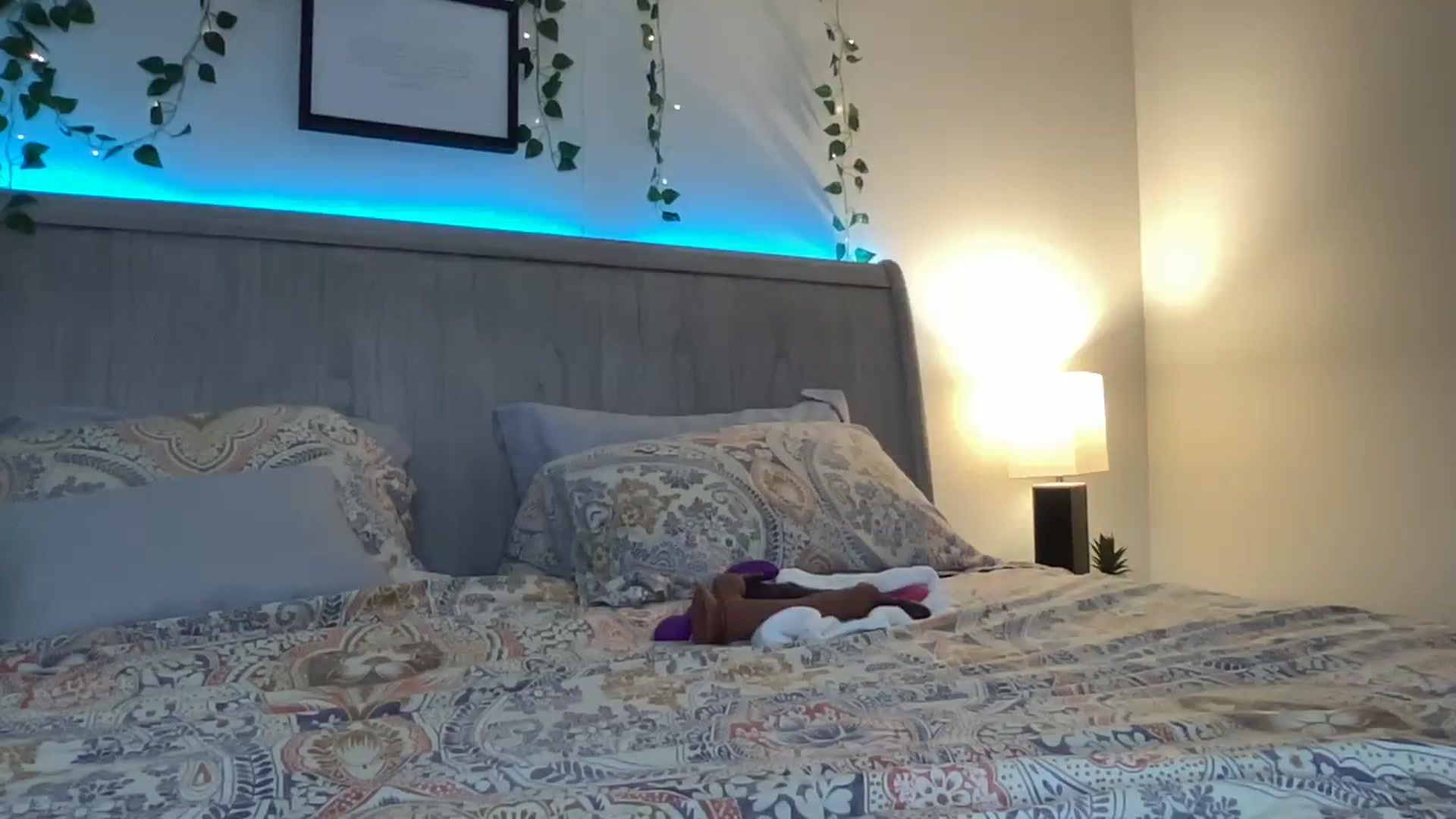 Gallery image thumbnail from Mia_Styles's myfreecams stream on, 08/10/2023, 01:50 image 12 of 20