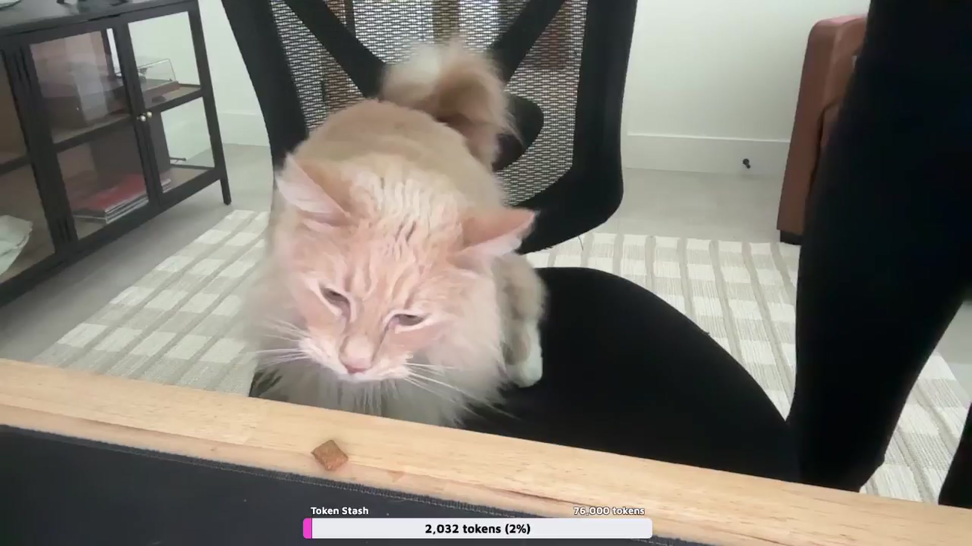 Gallery image thumbnail from Mia_xx's myfreecams stream on, 05/25/2024, 22:48 image 9 of 20