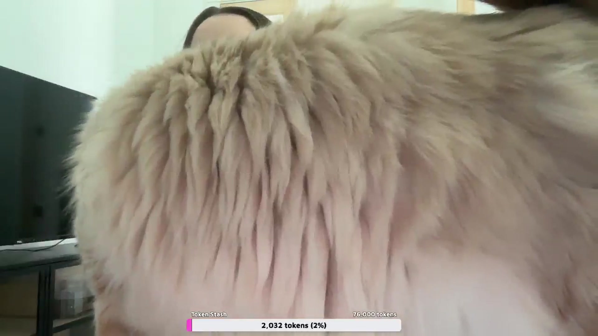 Gallery image thumbnail from Mia_xx's myfreecams stream on, 05/27/2024, 21:43 image 15 of 20