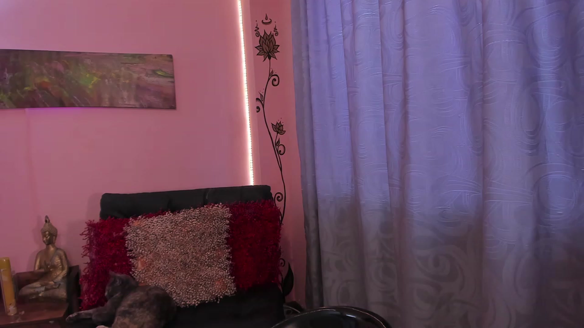Gallery image thumbnail from Miacrazysweet's myfreecams stream on, 05/16/2023, 13:56 image 12 of 20