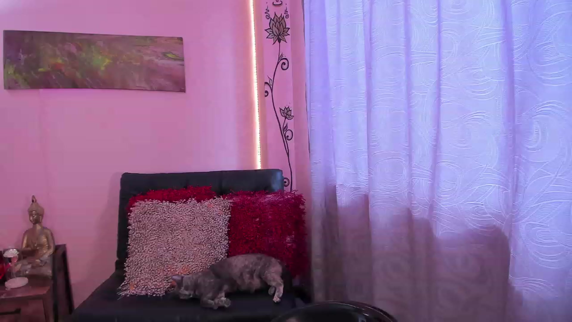 Gallery image thumbnail from Miacrazysweet's myfreecams stream on, 05/27/2023, 15:11 image 14 of 20