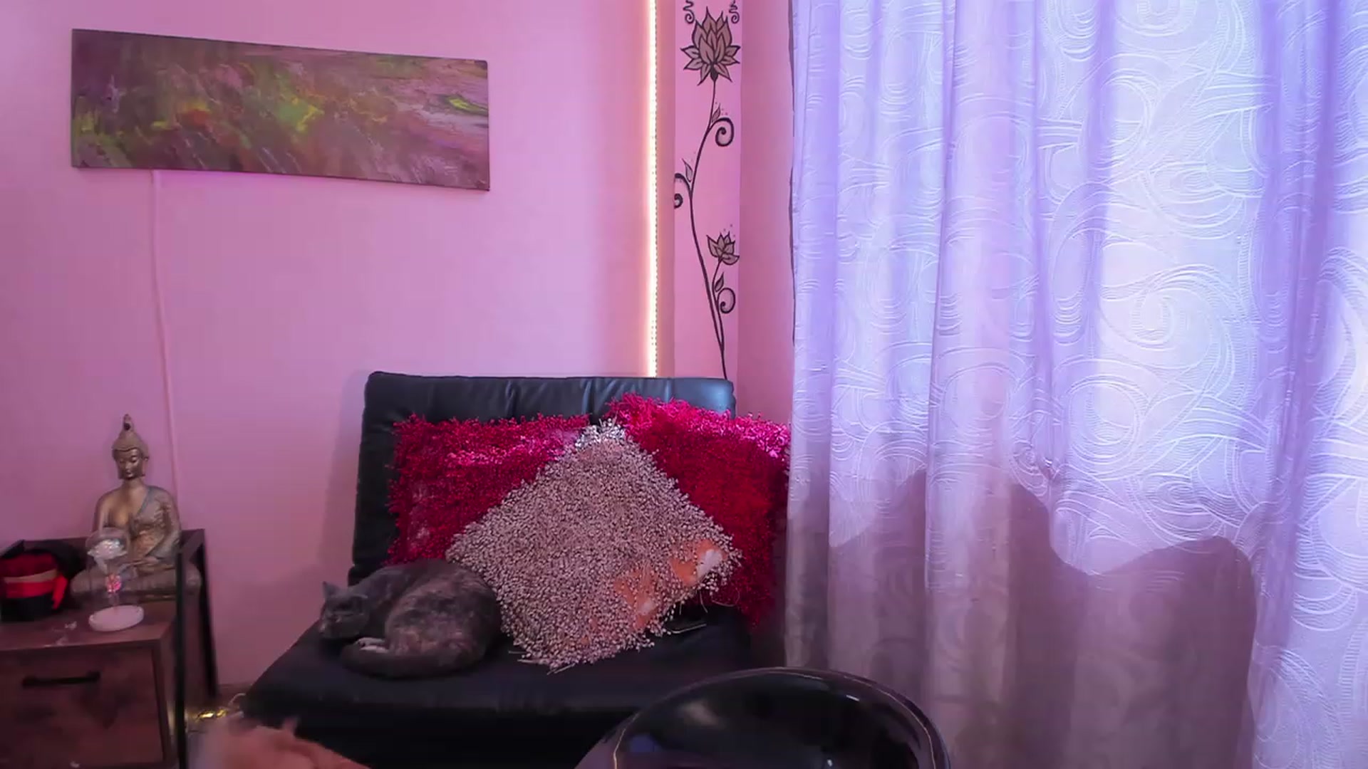 Gallery image thumbnail from Miacrazysweet's myfreecams stream on, 06/24/2023, 15:43 image 10 of 20