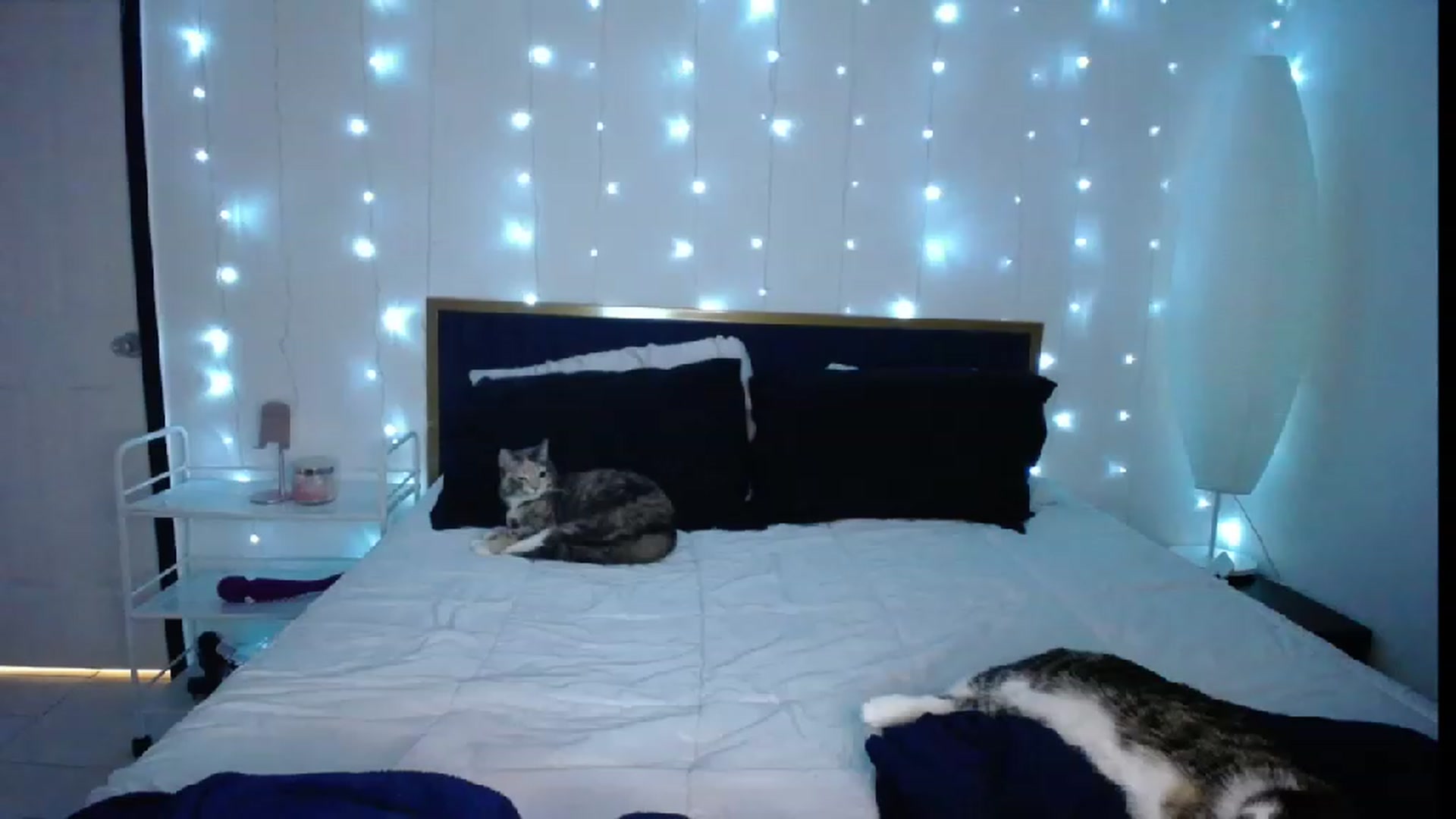 Gallery image thumbnail from MiahCalix's myfreecams stream on, 04/13/2023, 03:16 image 16 of 20