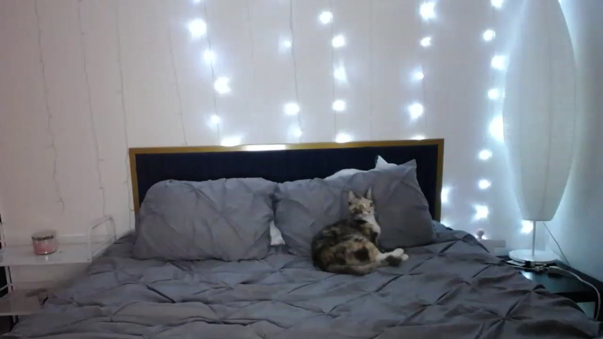 Gallery image thumbnail from MiahCalix's myfreecams stream on, 05/05/2023, 24:02 image 10 of 20