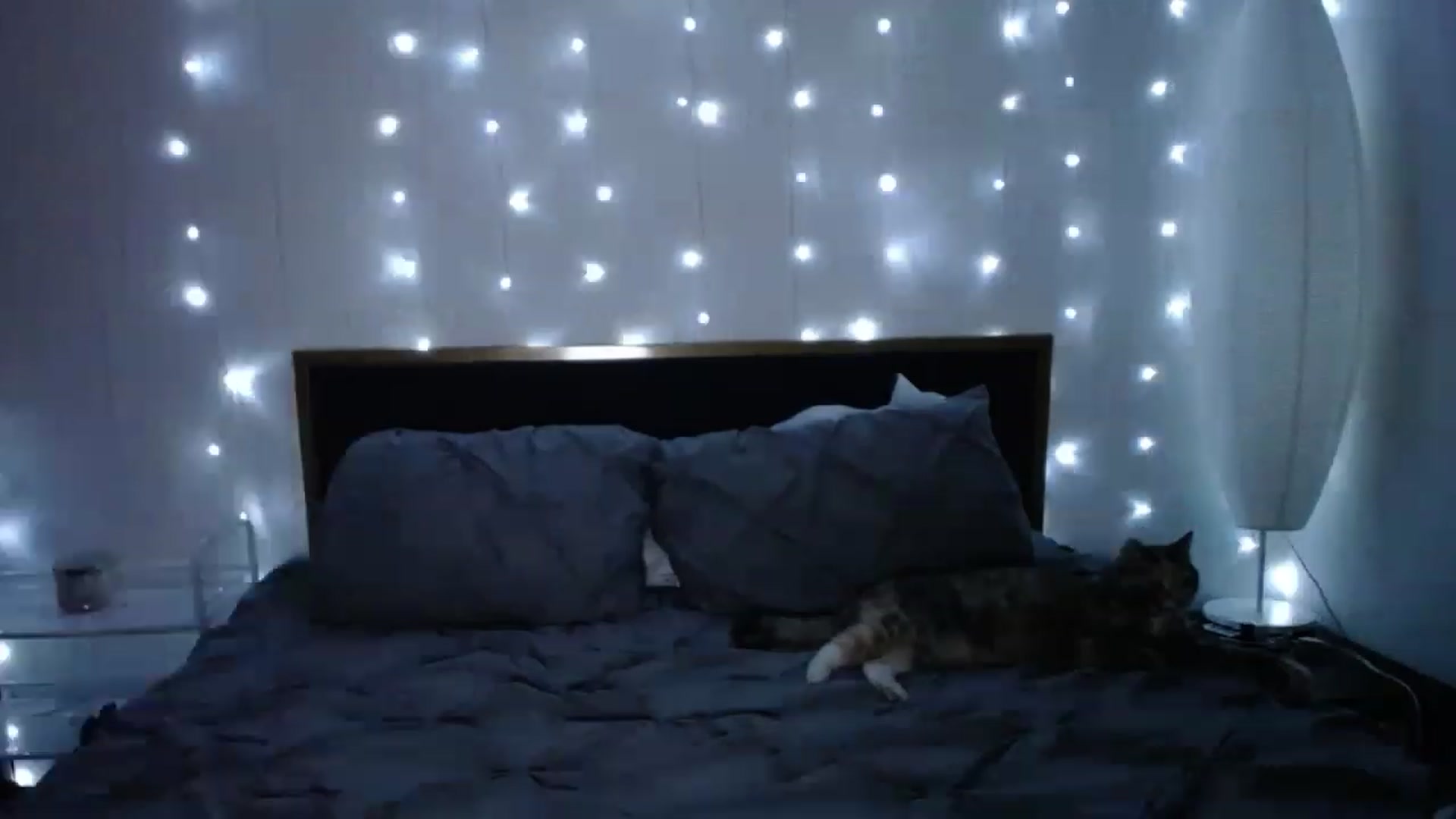 Gallery image thumbnail from MiahCalix's myfreecams stream on, 05/05/2023, 02:18 image 16 of 20