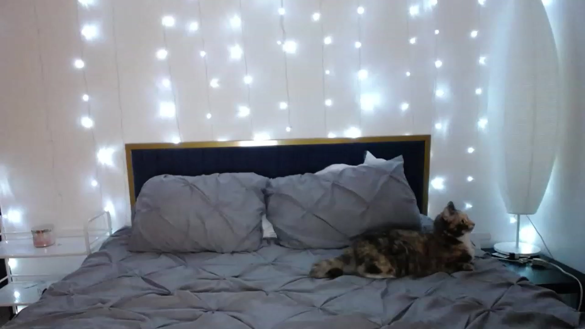Gallery image thumbnail from MiahCalix's myfreecams stream on, 05/05/2023, 02:18 image 11 of 20