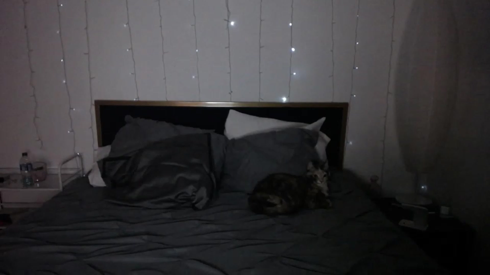 Gallery image thumbnail from MiahCalix's myfreecams stream on, 05/10/2023, 04:04 image 15 of 20