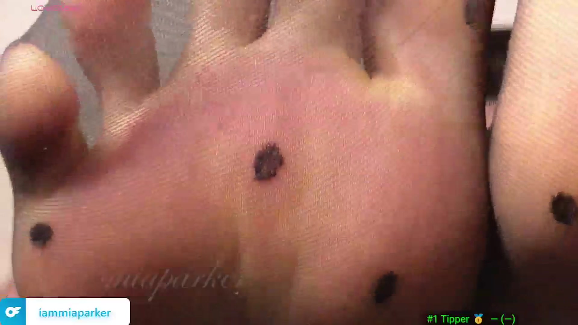 Gallery image thumbnail from Miaparkers's myfreecams stream on, 03/06/2025, 21:44 image 10 of 20