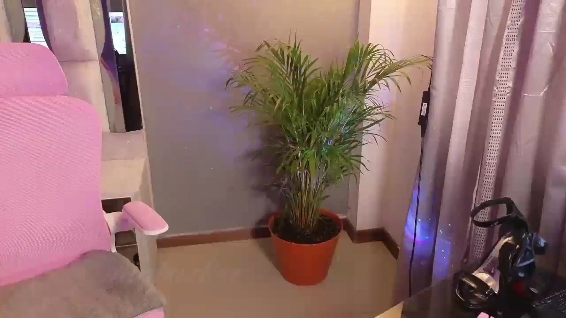 Gallery image thumbnail from Miaparkers's myfreecams stream on, 04/23/2025, 16:01 image 13 of 20