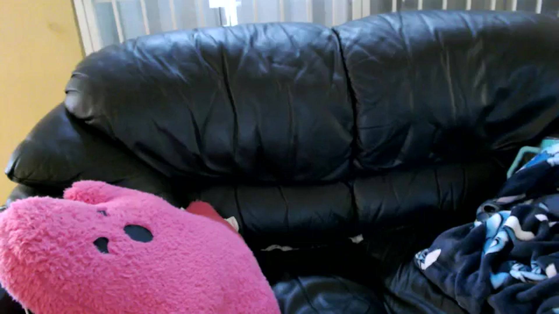 Gallery image thumbnail from MickaylaMinx's myfreecams stream on, 11/16/2024, 21:16 image 10 of 20