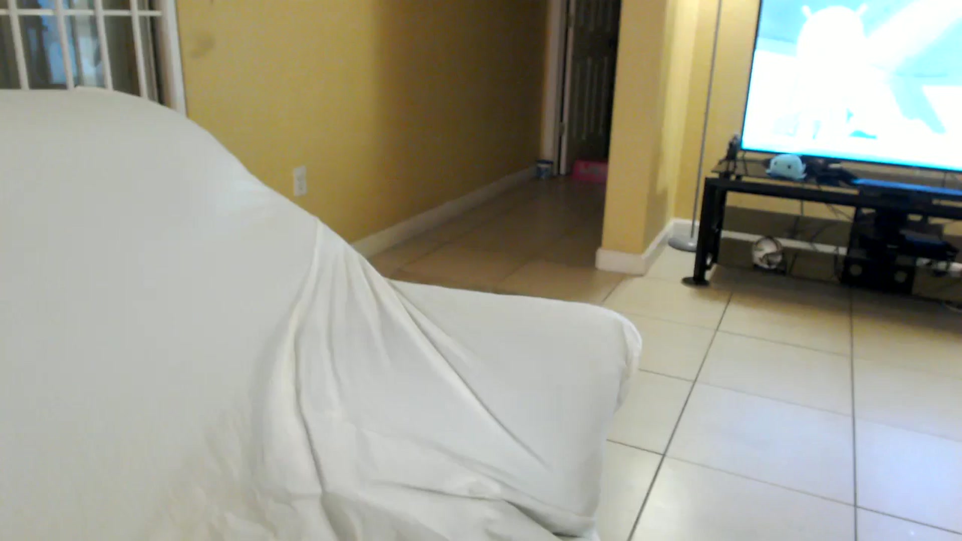 Gallery image thumbnail from MickaylaMinx's myfreecams stream on, 11/24/2024, 23:48 image 2 of 20