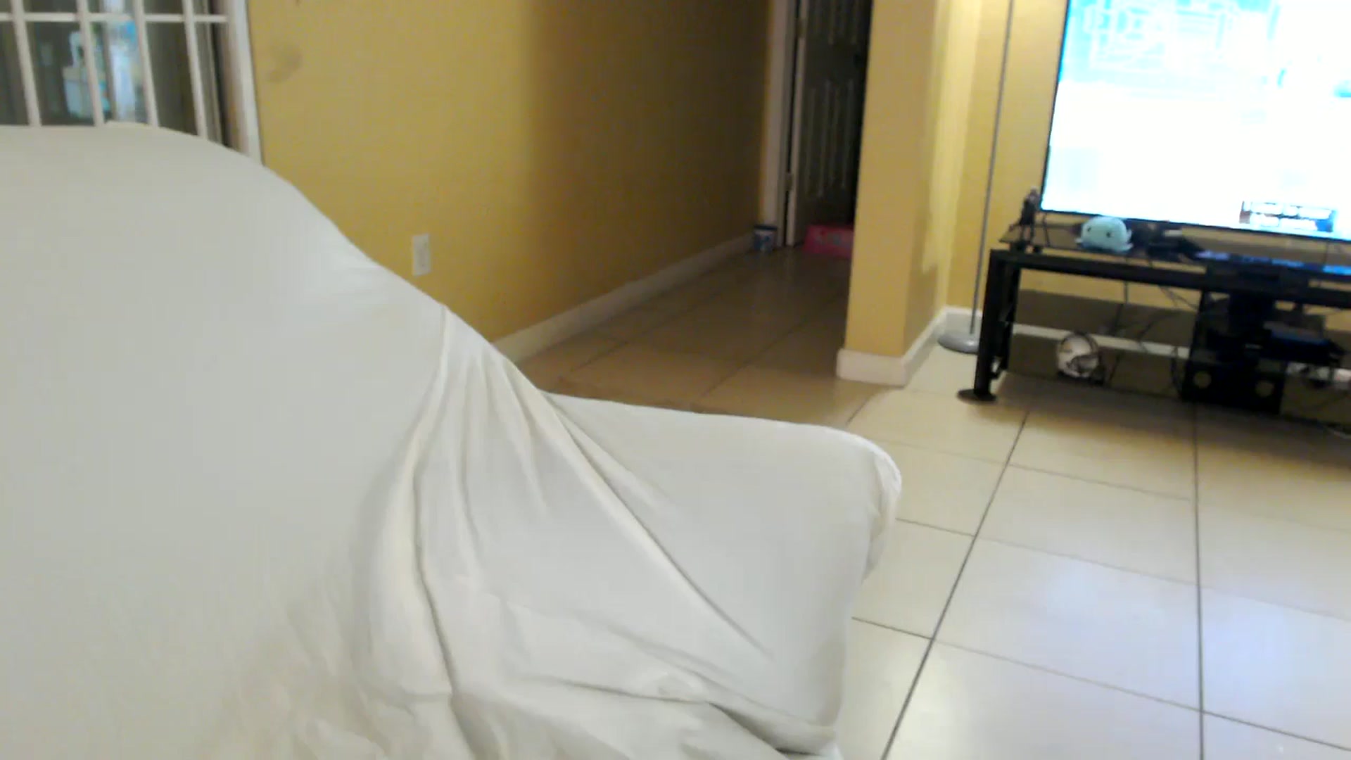 Gallery image thumbnail from MickaylaMinx's myfreecams stream on, 11/24/2024, 23:48 image 3 of 20