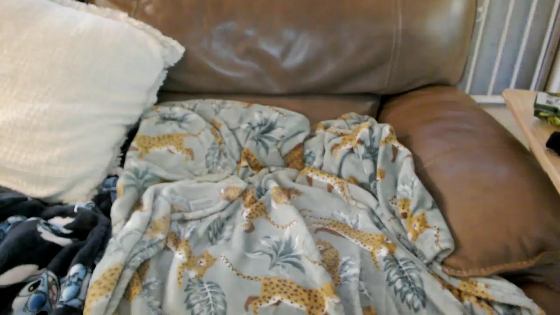Gallery image thumbnail from MickaylaStar's myfreecams stream on, 06/01/2025, 24:02 image 12 of 20