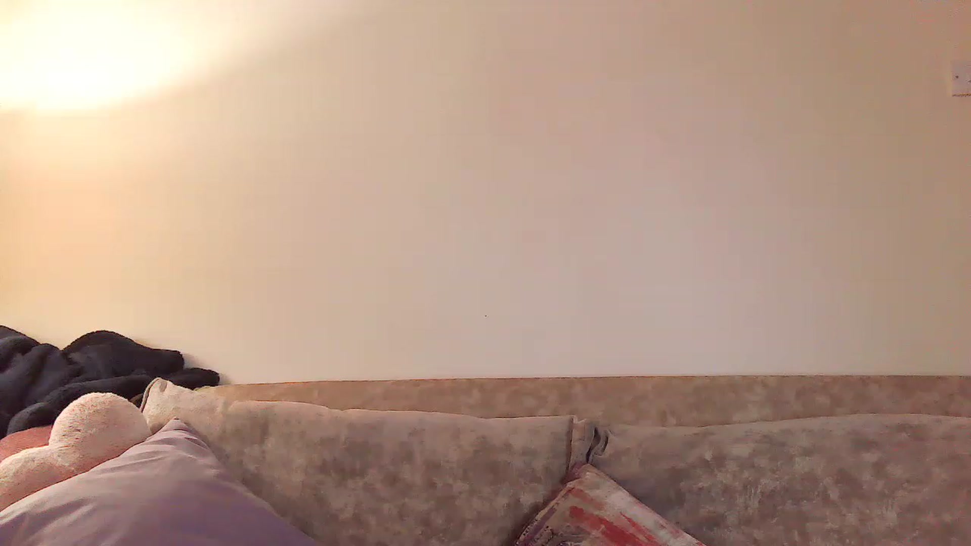 Gallery image thumbnail from MidnightBunny's myfreecams stream on, 03/16/2023, 24:01 image 8 of 20