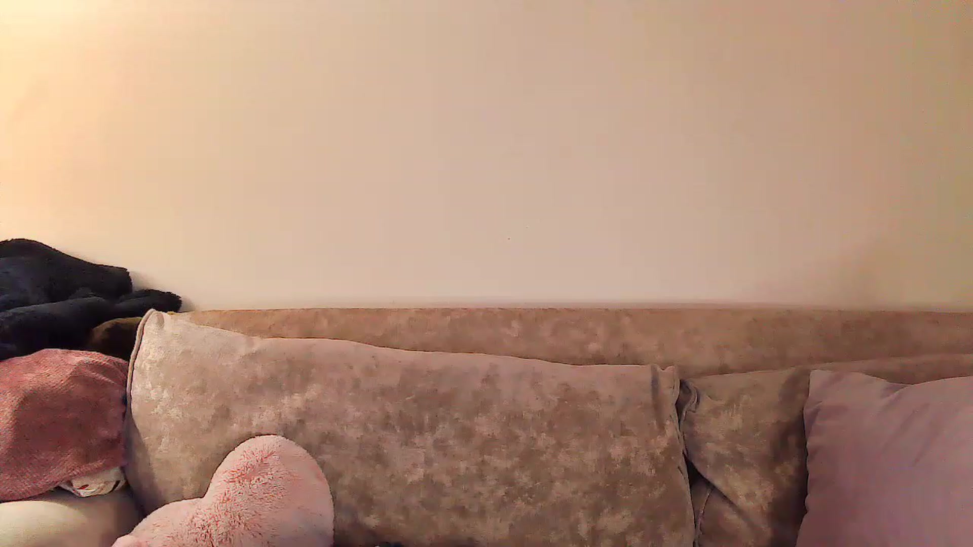 Gallery image thumbnail from MidnightBunny's myfreecams stream on, 03/16/2023, 03:44 image 13 of 20