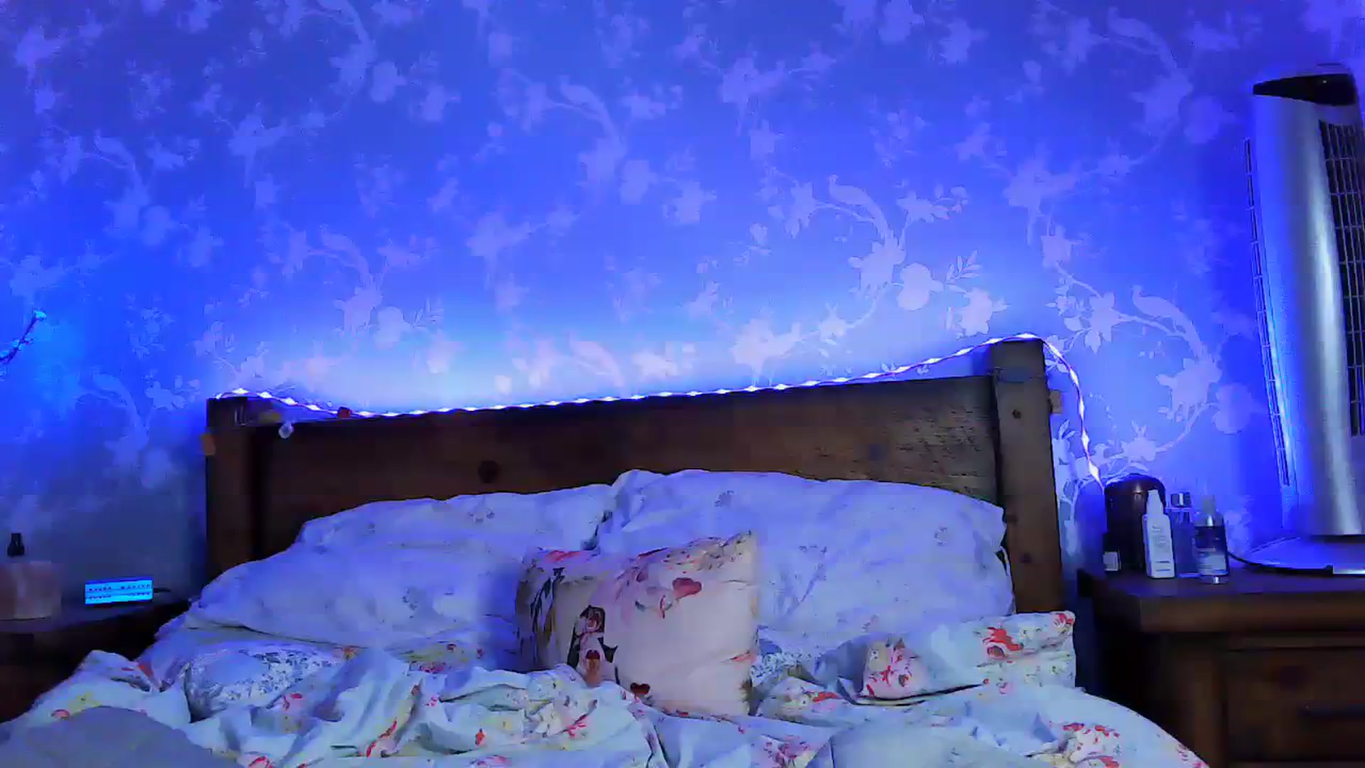 Gallery image thumbnail from MidnightBunny's myfreecams stream on, 07/31/2023, 04:31 image 17 of 20