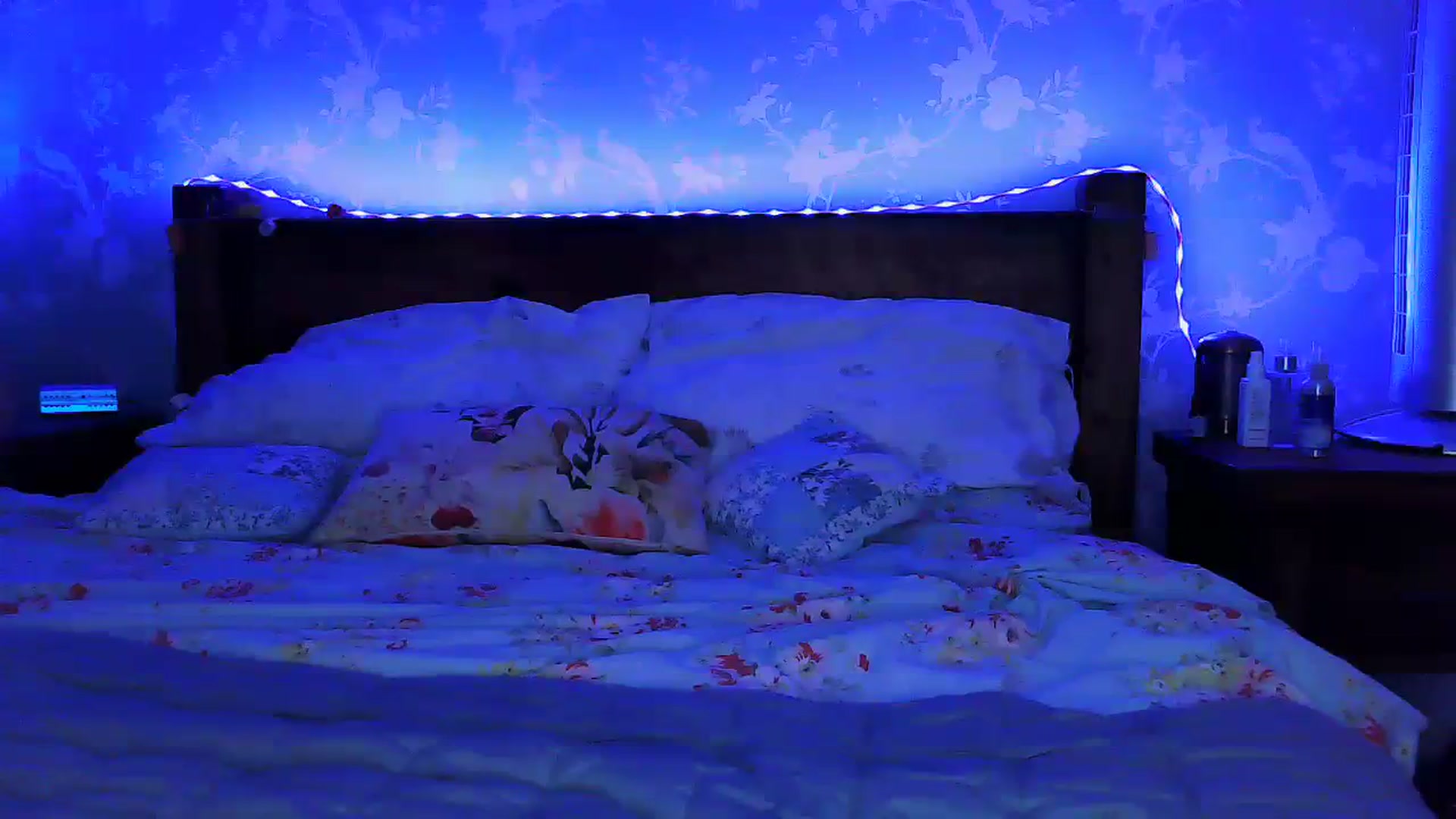Gallery image thumbnail from MidnightBunny's myfreecams stream on, 07/31/2023, 04:31 image 15 of 20