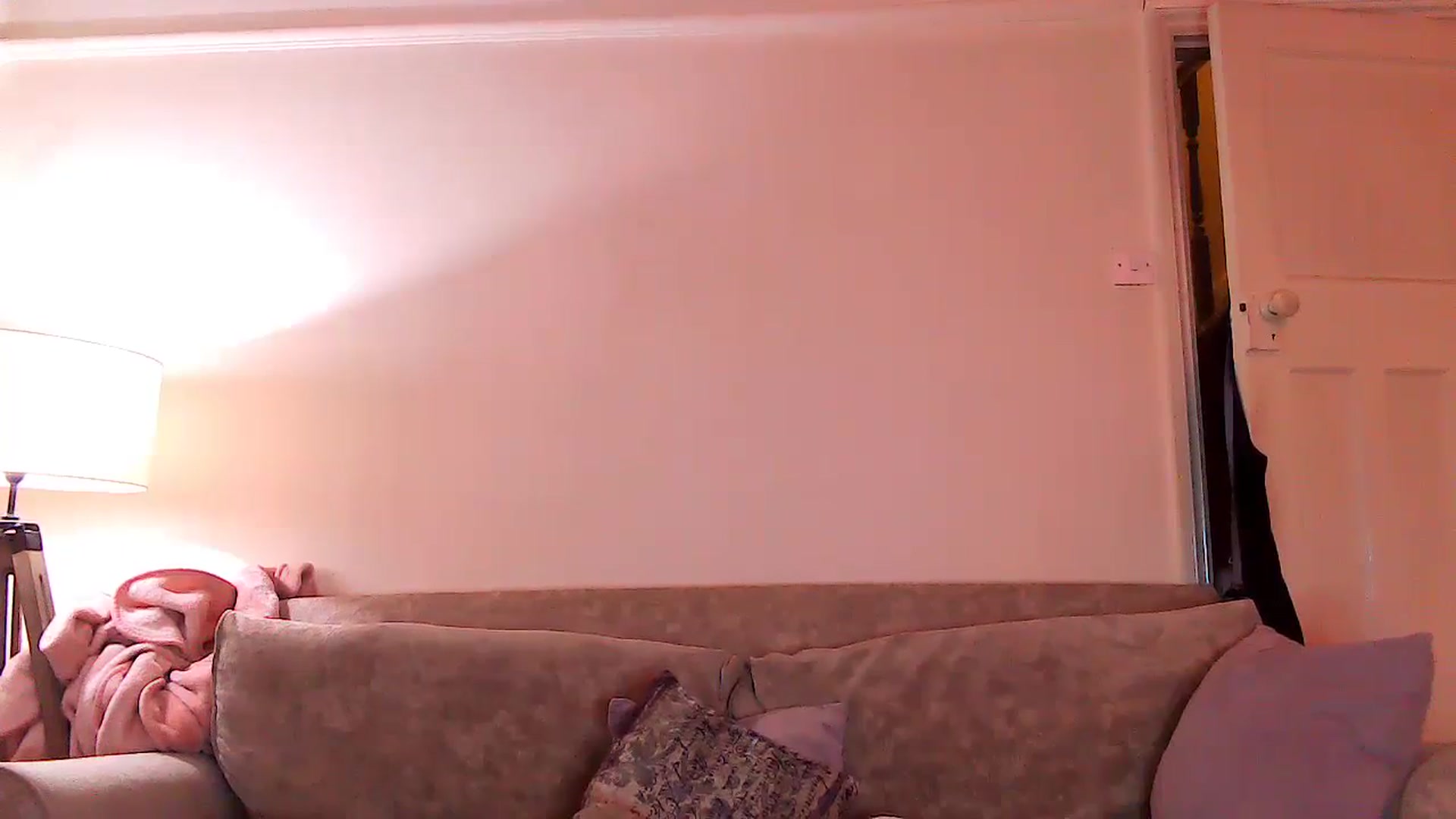 Gallery image thumbnail from MidnightBunny's myfreecams stream on, 10/03/2023, 03:26 image 13 of 20