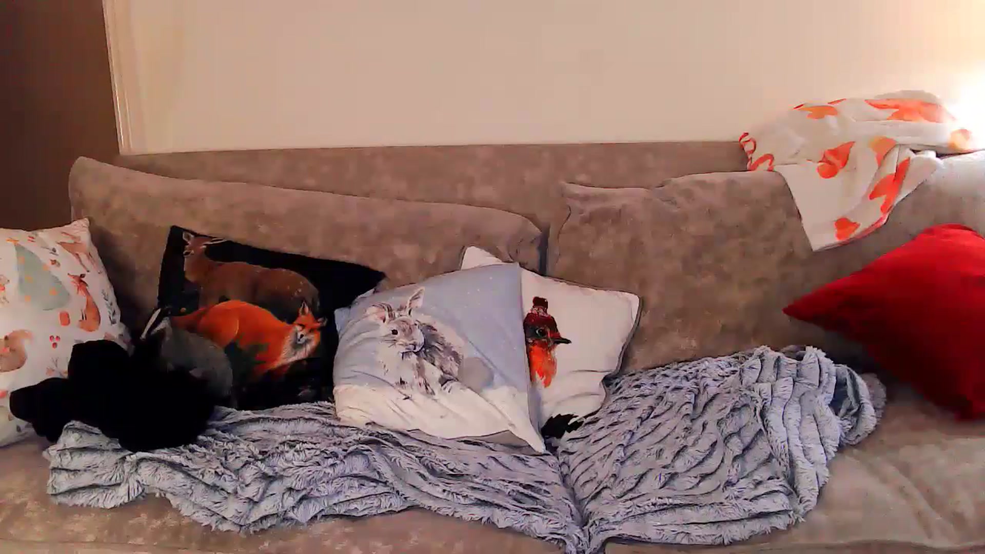 Gallery image thumbnail from MidnightBunny's myfreecams stream on, 02/08/2024, 06:06 image 5 of 20