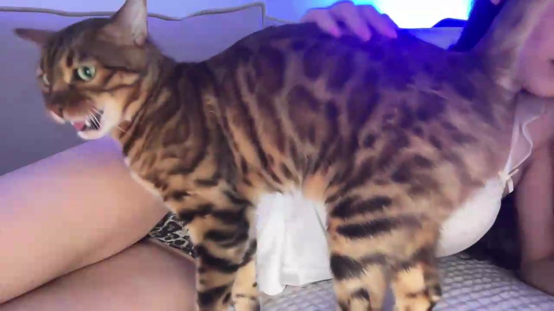 Gallery image thumbnail from MidnightElle's myfreecams stream on, 08/15/2026, 11:49 image 4 of 20
