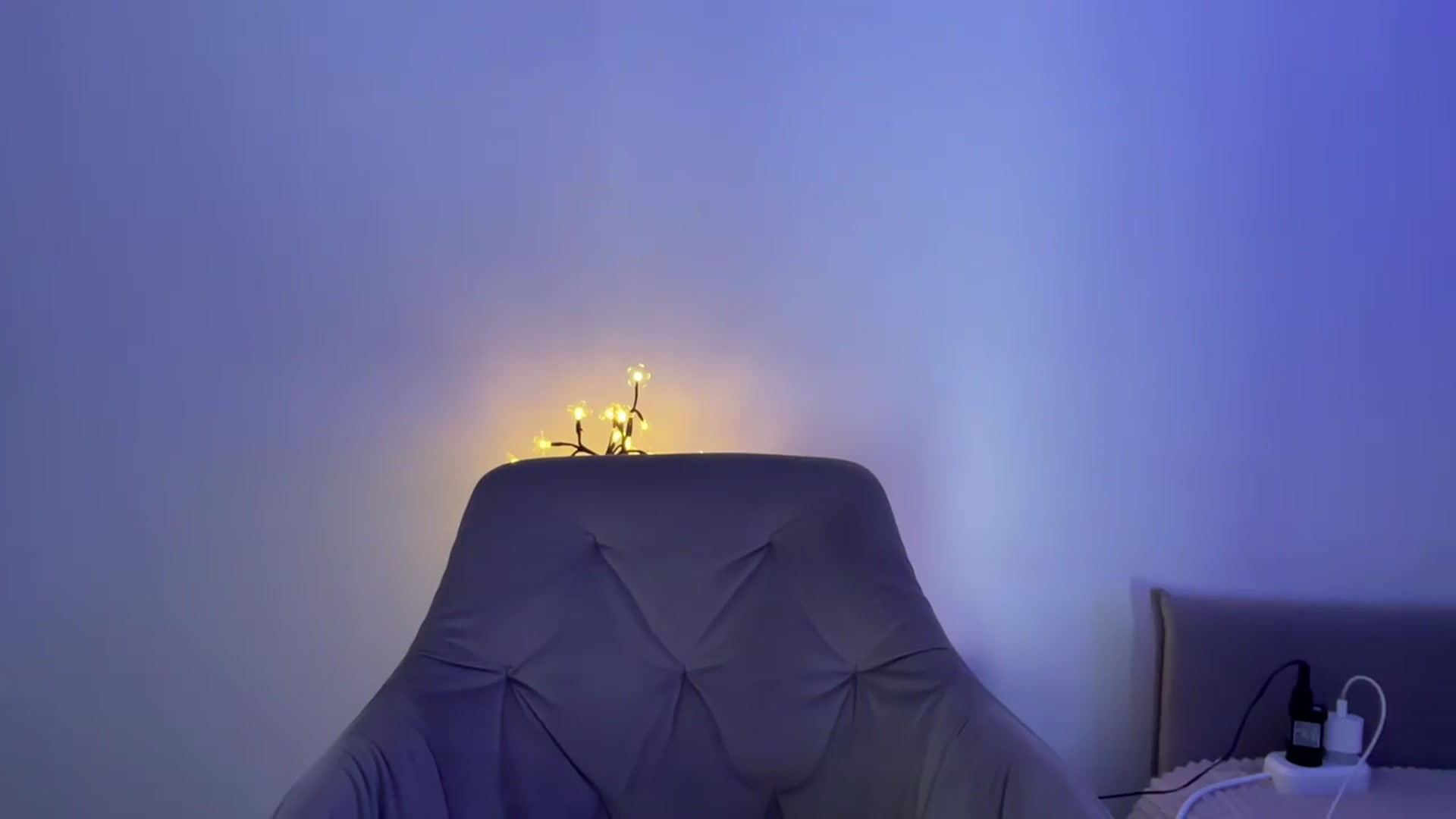 Gallery image thumbnail from MidnightElle's myfreecams stream on, 08/18/2026, 11:46 image 8 of 20