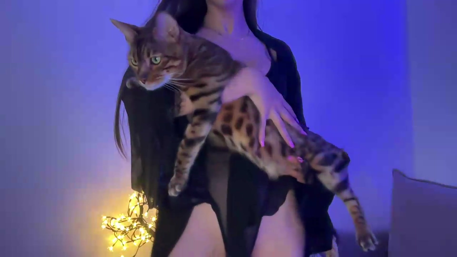 Gallery image thumbnail from MidnightElle's myfreecams stream on, 08/19/2026, 08:11 image 9 of 20