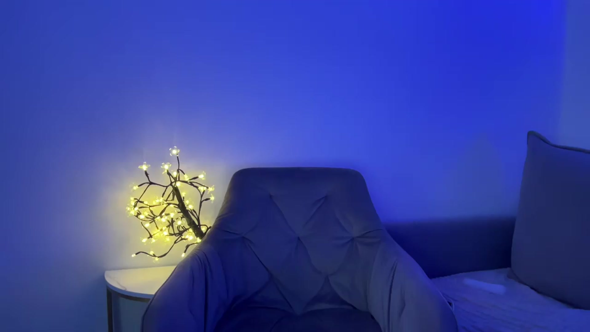 Gallery image thumbnail from MidnightElle's myfreecams stream on, 08/19/2026, 10:24 image 12 of 20