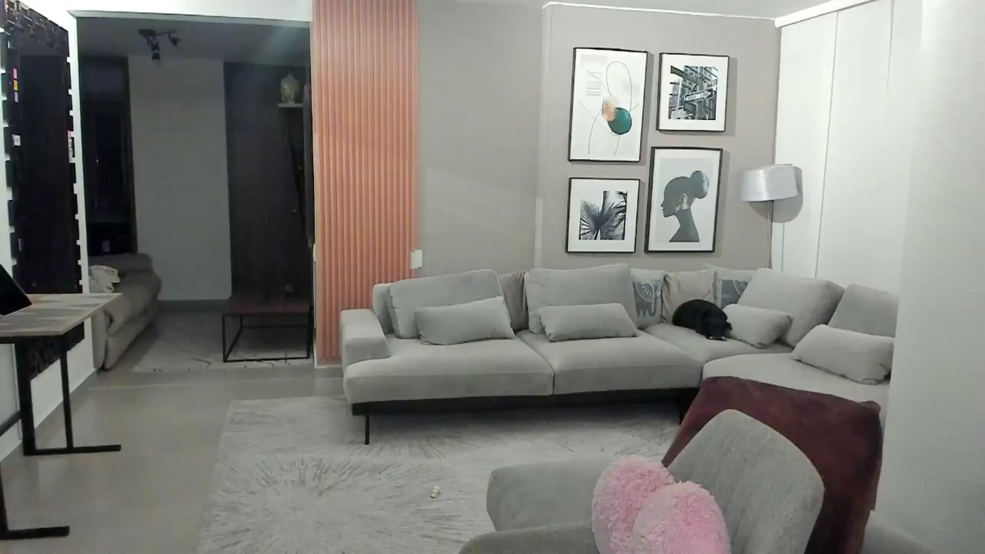 Gallery image thumbnail from MidnightLust_'s myfreecams stream on, 02/17/2025, 05:30 image 5 of 20