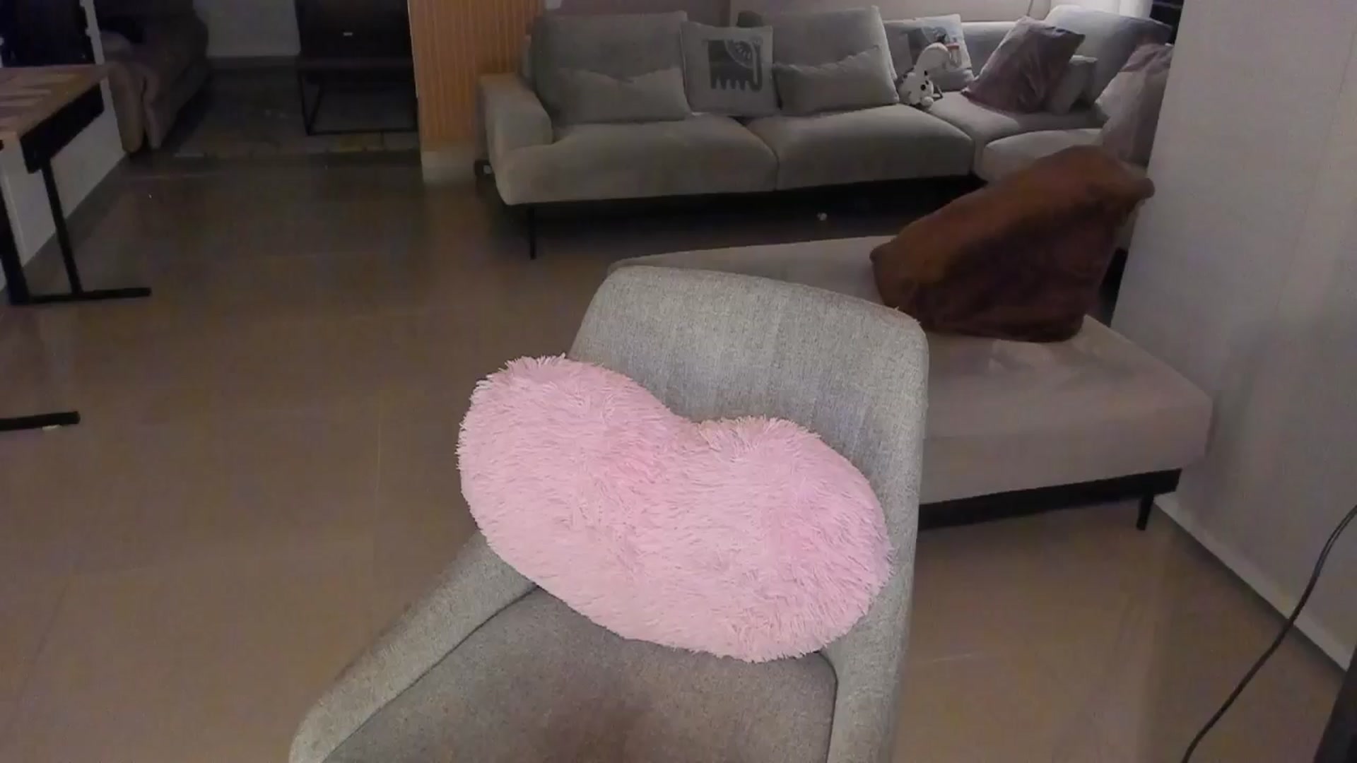 Gallery image thumbnail from MidnightLust_'s myfreecams stream on, 05/13/2025, 08:55 image 17 of 20