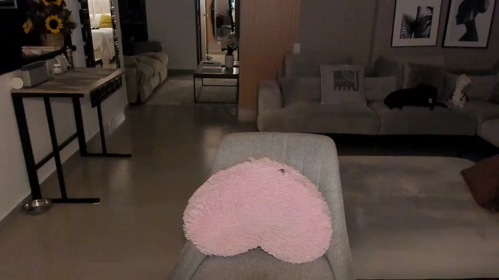 Gallery image thumbnail from MidnightLust_'s myfreecams stream on, 05/20/2025, 03:00 image 16 of 20
