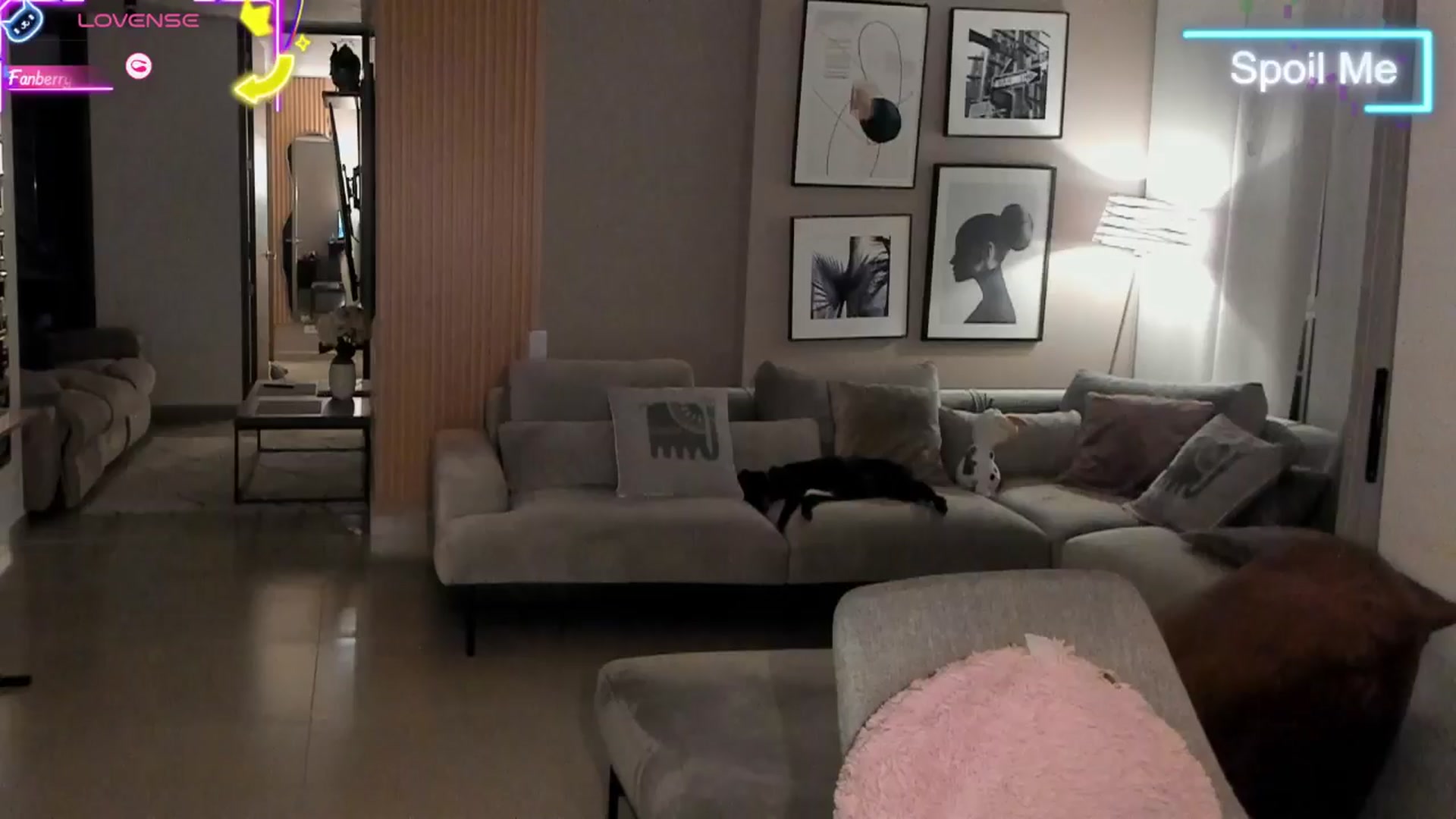 Gallery image thumbnail from MidnightLust_'s myfreecams stream on, 05/20/2025, 05:18 image 15 of 20