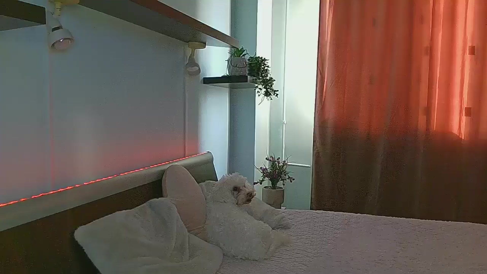 Gallery image thumbnail from Midnightdream's myfreecams stream on, 03/17/2026, 15:40 image 7 of 20
