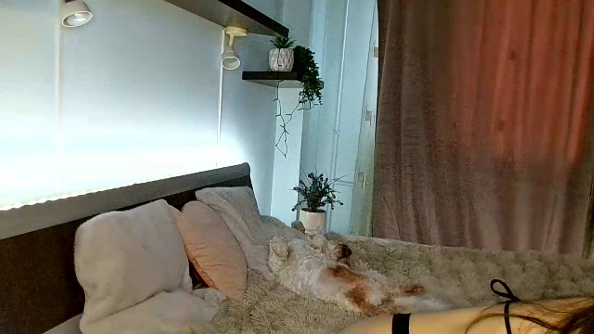 Gallery image thumbnail from Midnightdream's myfreecams stream on, 07/06/2026, 03:50 image 13 of 20