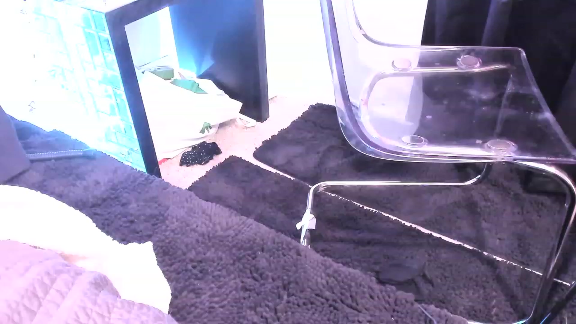 Gallery image thumbnail from Midnightrose's myfreecams stream on, 02/27/2023, 13:16 image 15 of 20