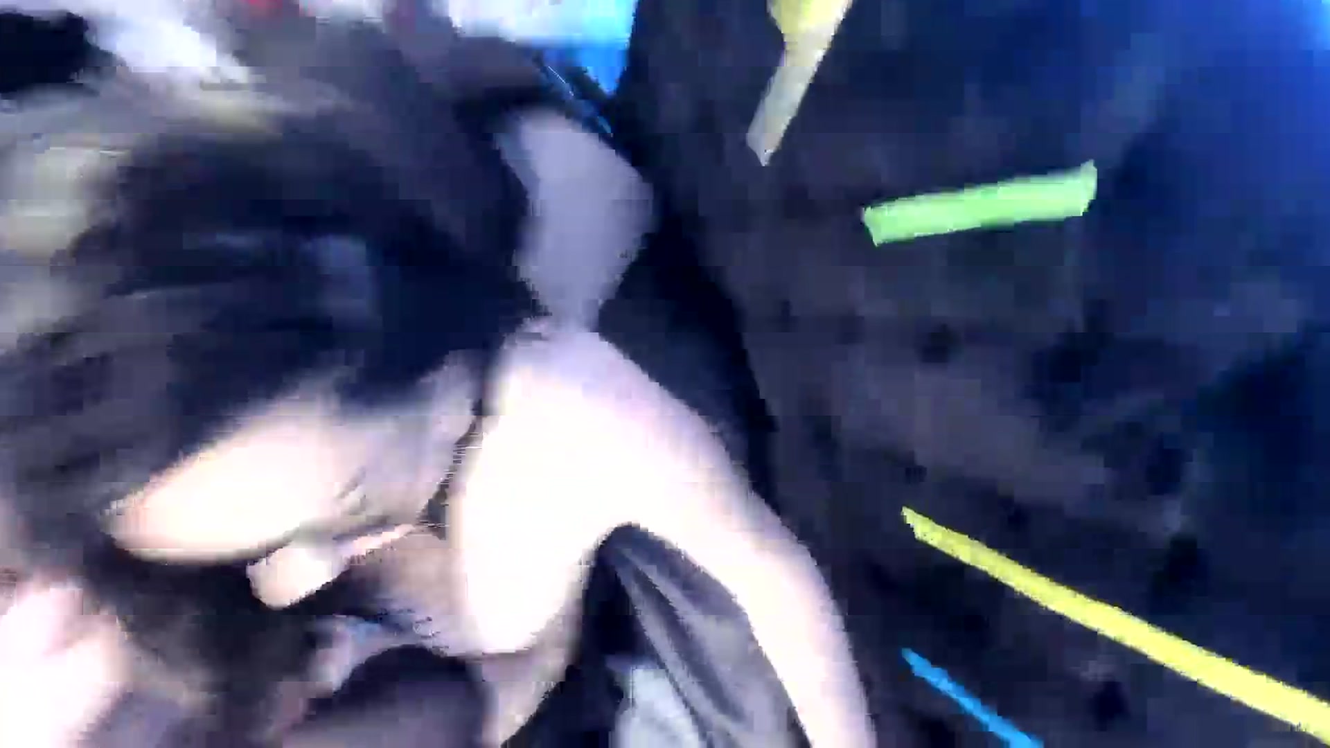Gallery image thumbnail from Midnightrose's myfreecams stream on, 08/18/2023, 08:55 image 18 of 20