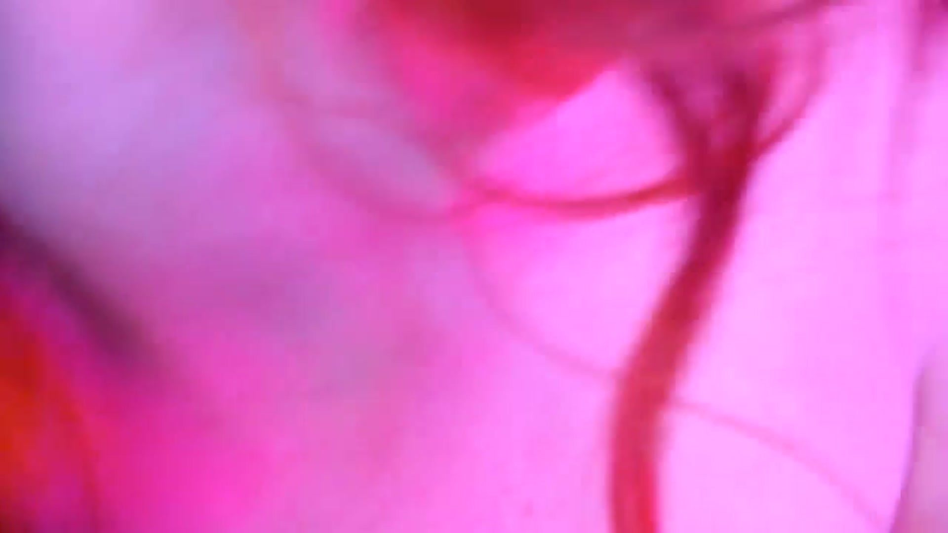 Gallery image thumbnail from Midnightrose's myfreecams stream on, 10/30/2024, 09:54 image 13 of 20