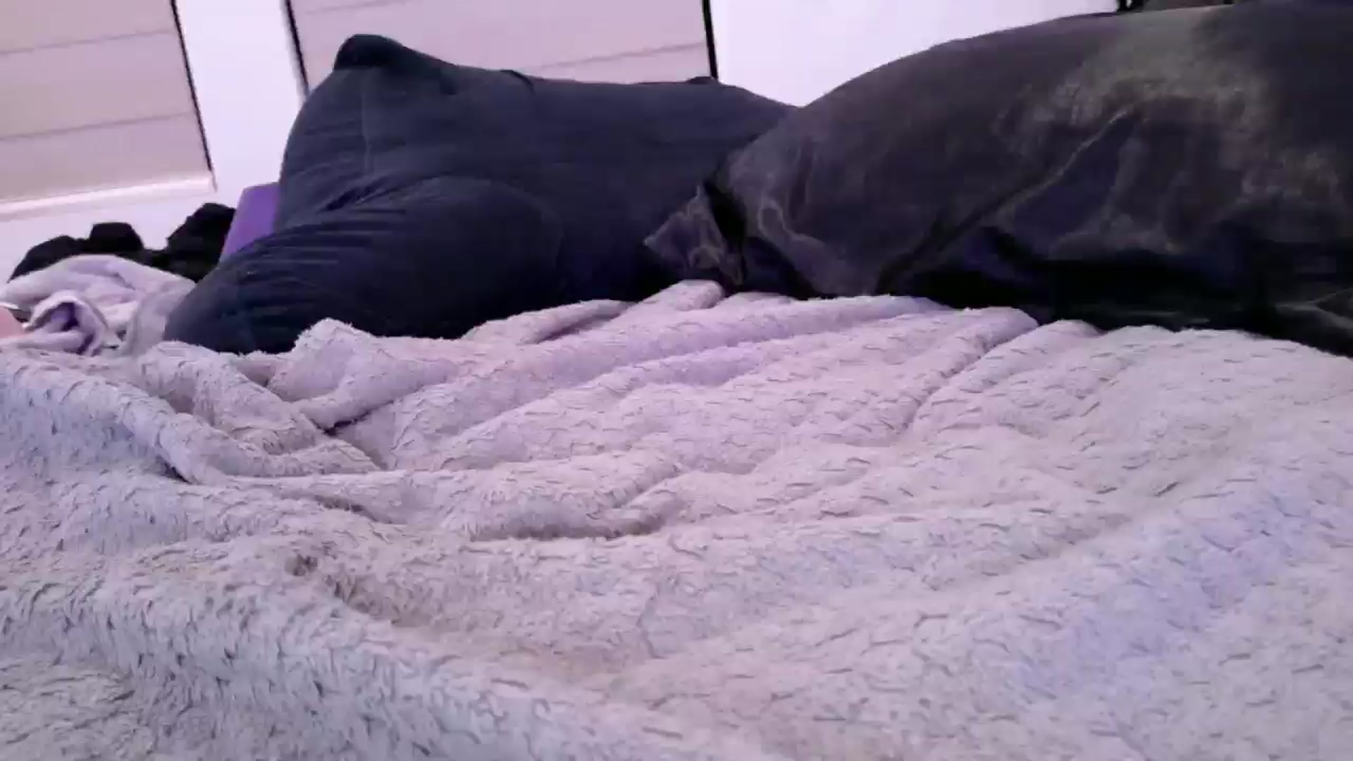 Gallery image thumbnail from Midnightrose's myfreecams stream on, 09/09/2025, 10:55 image 15 of 20