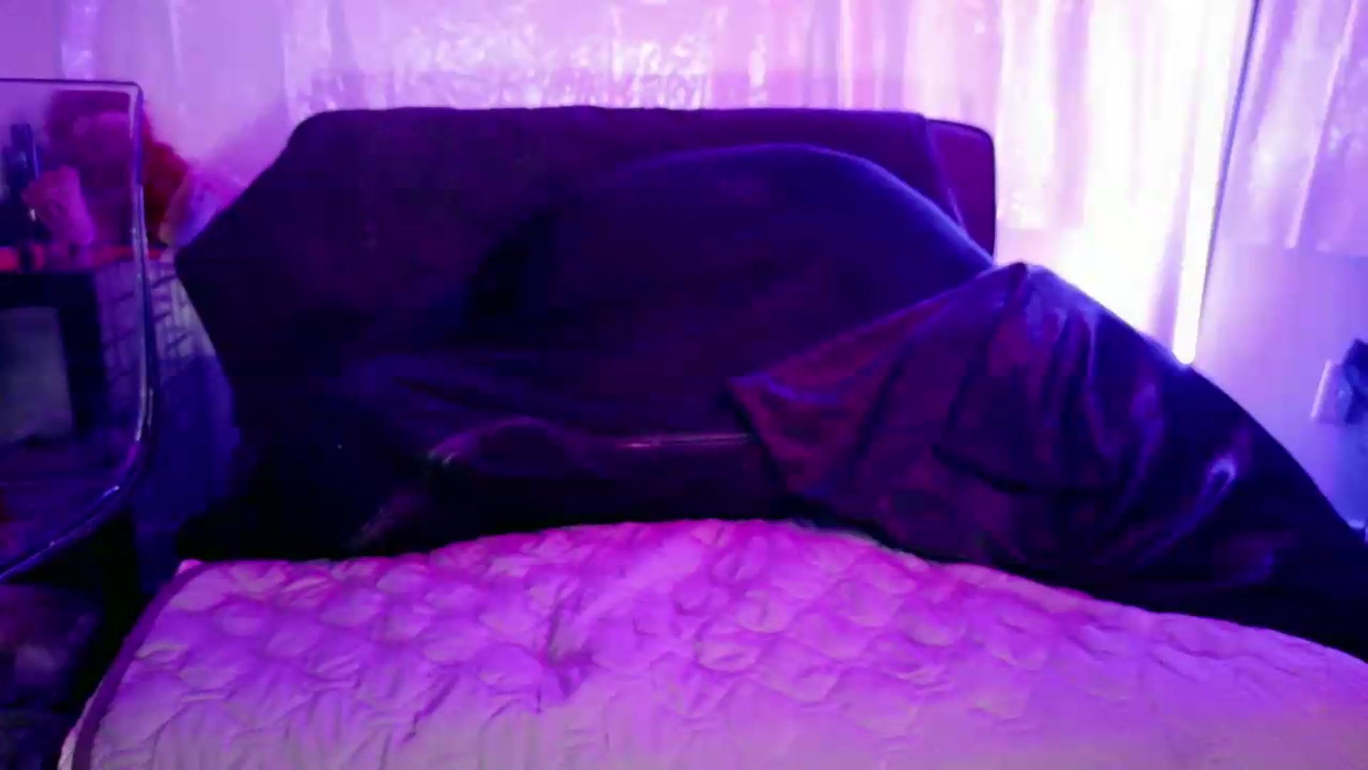 Gallery image thumbnail from Midnightrose's myfreecams stream on, 05/19/2026, 11:12 image 13 of 20