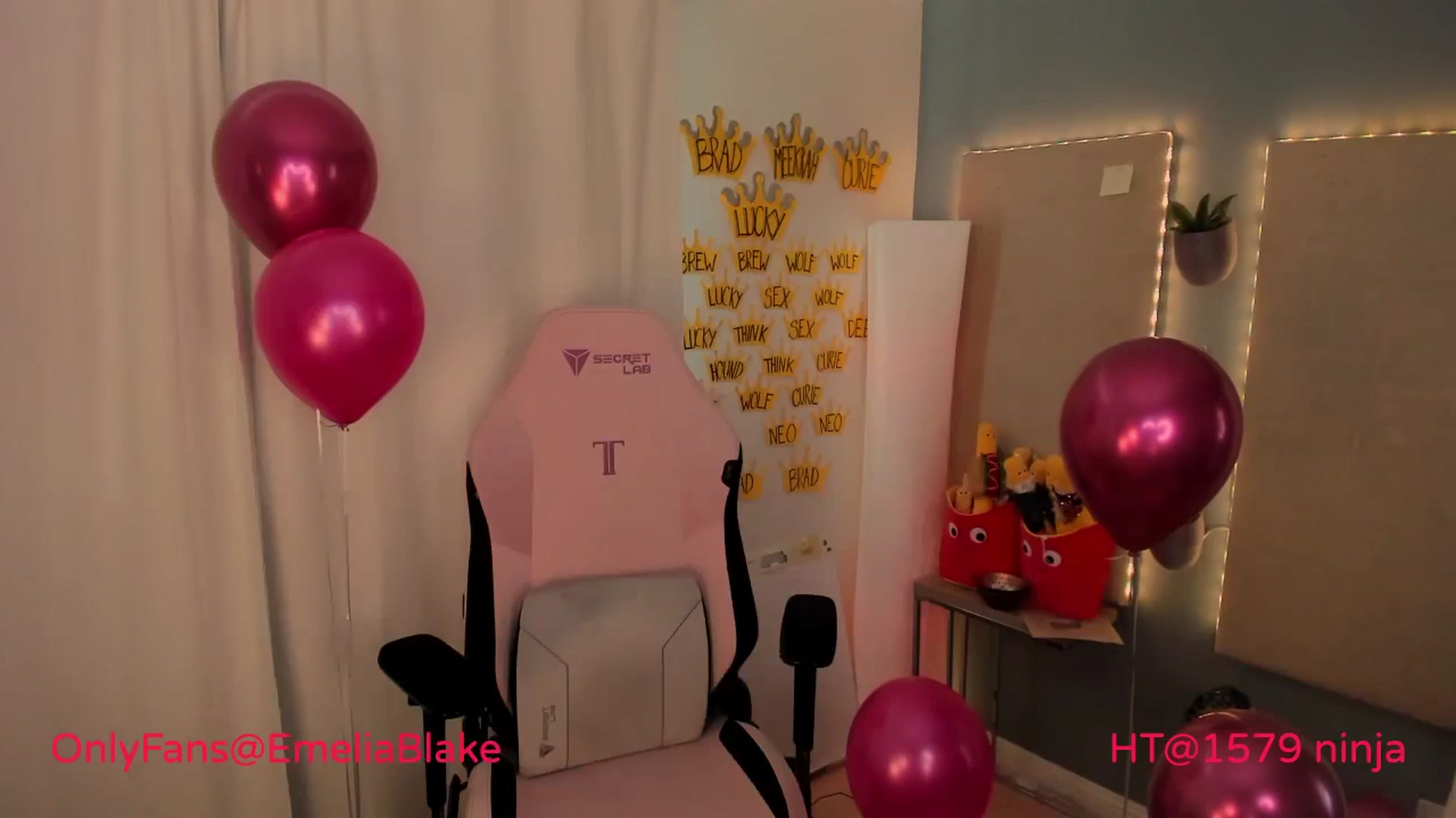 Gallery image thumbnail from MightyEmelia's myfreecams stream on, 05/29/2024, 02:53 image 5 of 20
