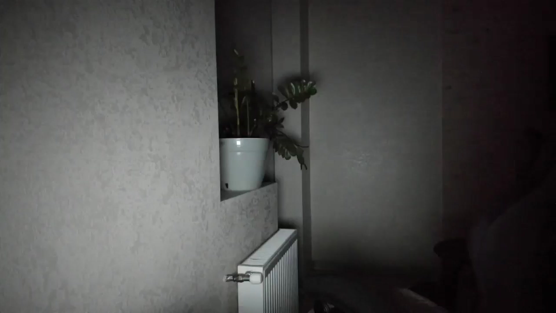 Gallery image thumbnail from Mihellii's myfreecams stream on, 09/11/2024, 22:24 image 4 of 20