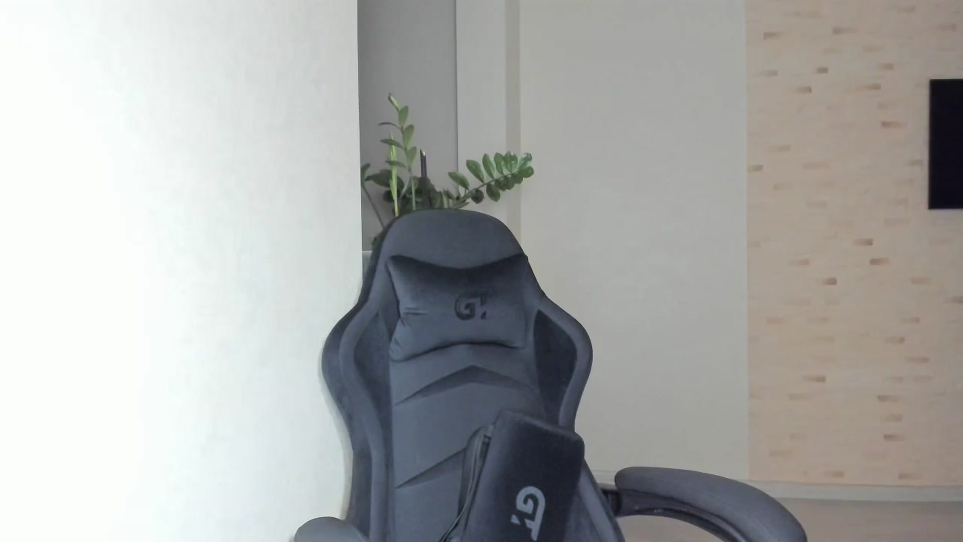 Gallery image thumbnail from Mihellii's myfreecams stream on, 09/11/2024, 22:24 image 18 of 20