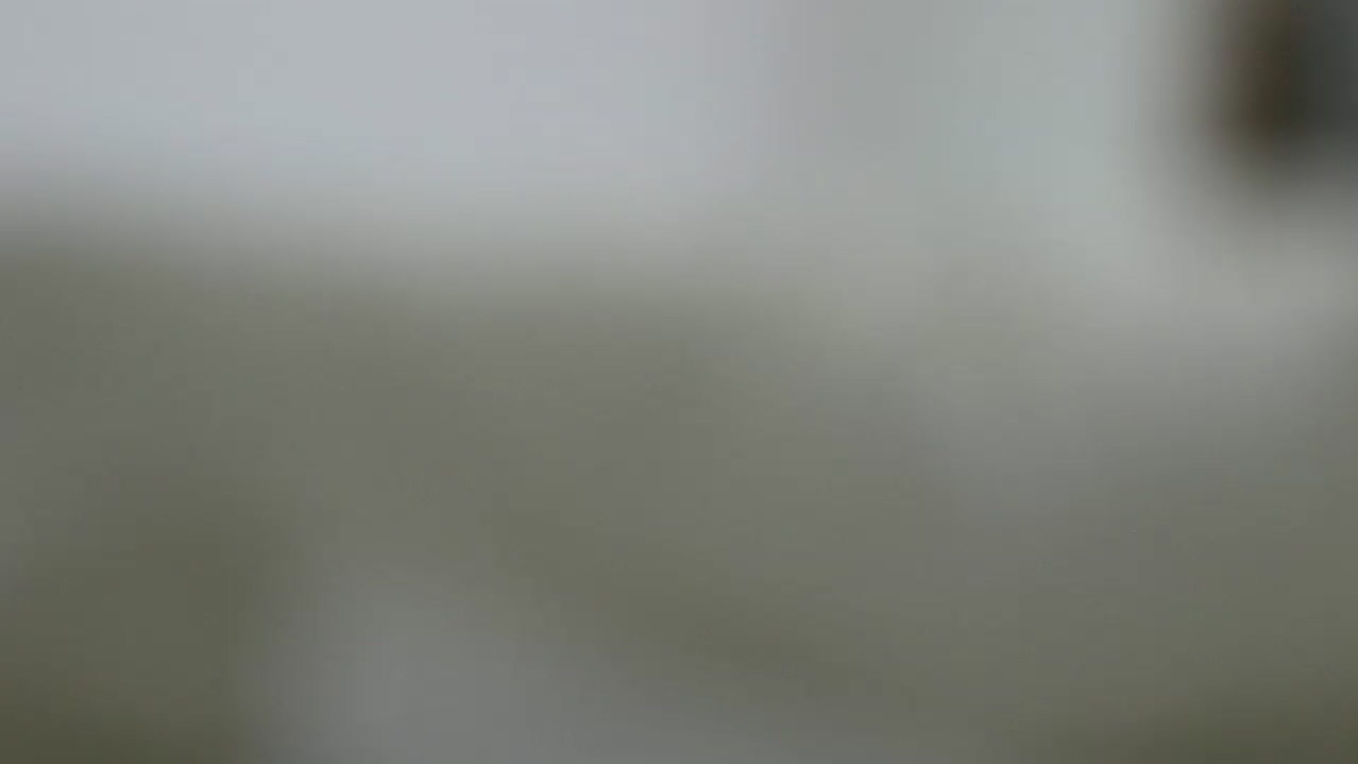 Gallery image thumbnail from Miiiawallace's myfreecams stream on, 03/25/2025, 12:25 image 20 of 20